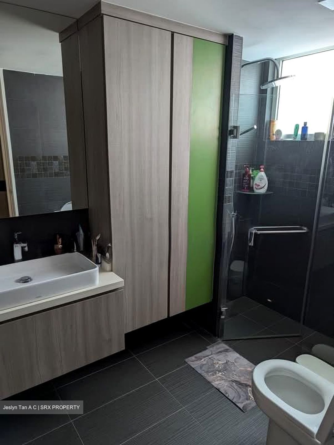 Dahlia Park Condominium (D17), Condominium #587711431